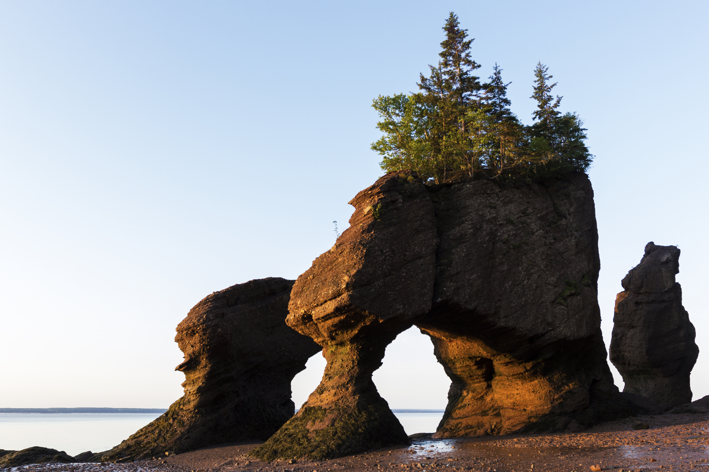 Hopewell Rocks in Canada at sunrise